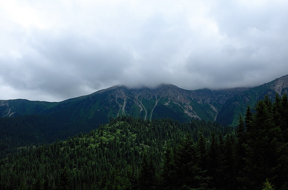 Cloud-topped mountains