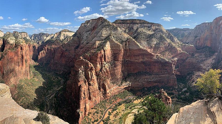 Observation Point from Angels Landing Trail