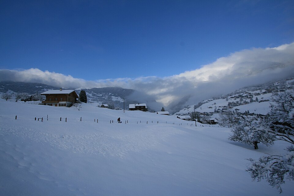 Grindelwald, Switzerland - panoramio - Michal Gorski