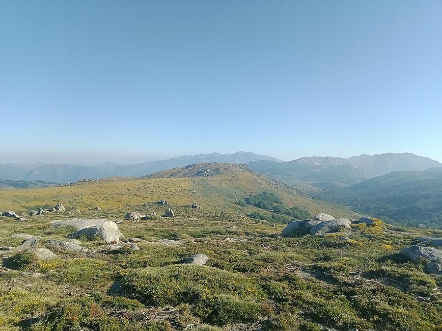 Punta di Tozzarella