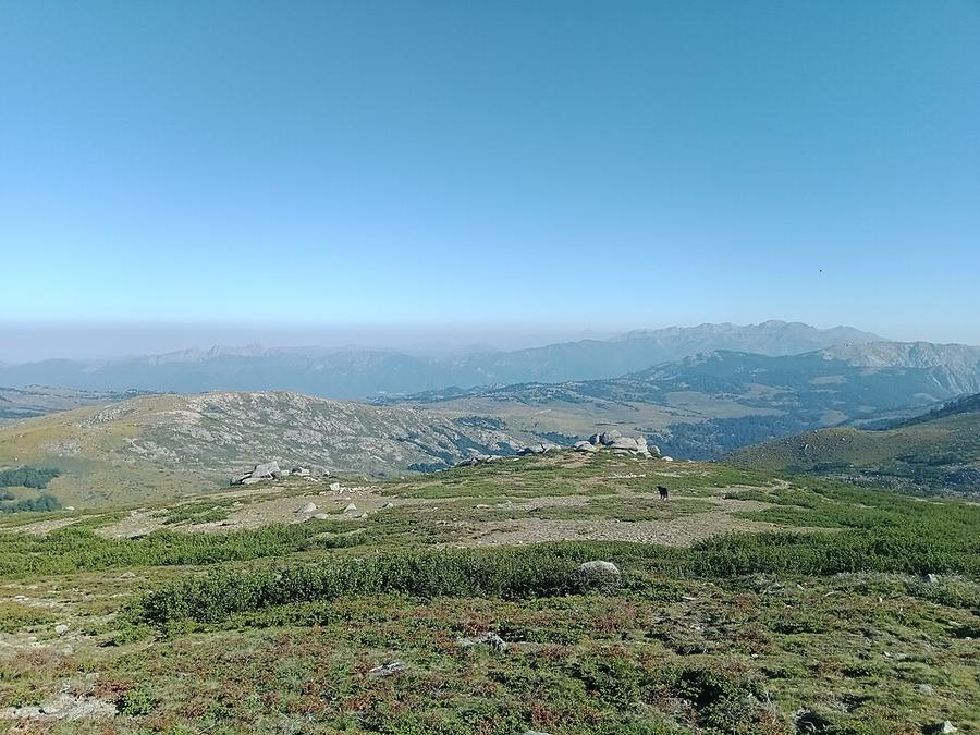 Monte Renoso Bocca Stazzunara