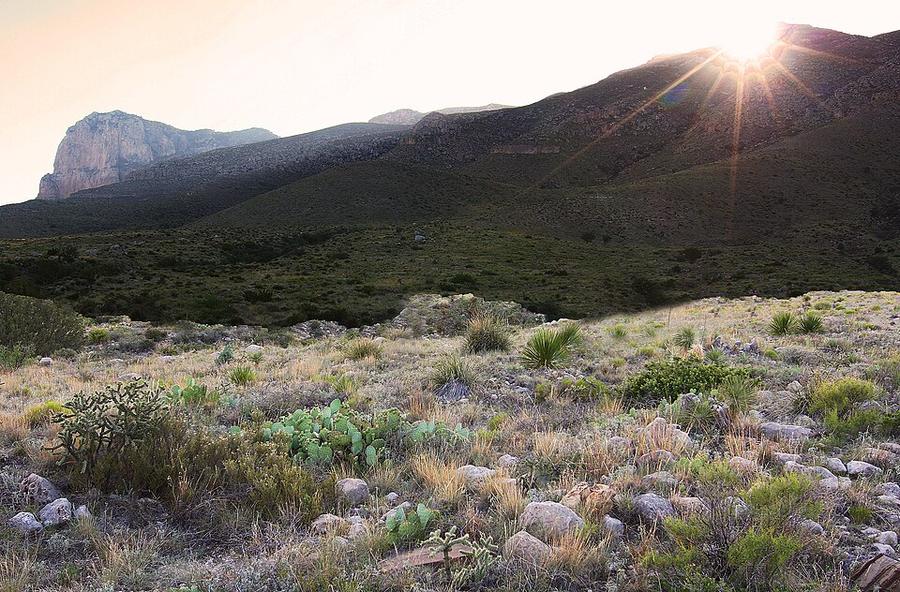 Guadalupe National Park