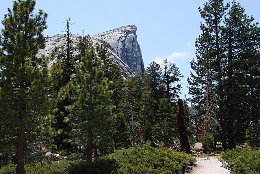 Half Dome - Yosemite - panoramio