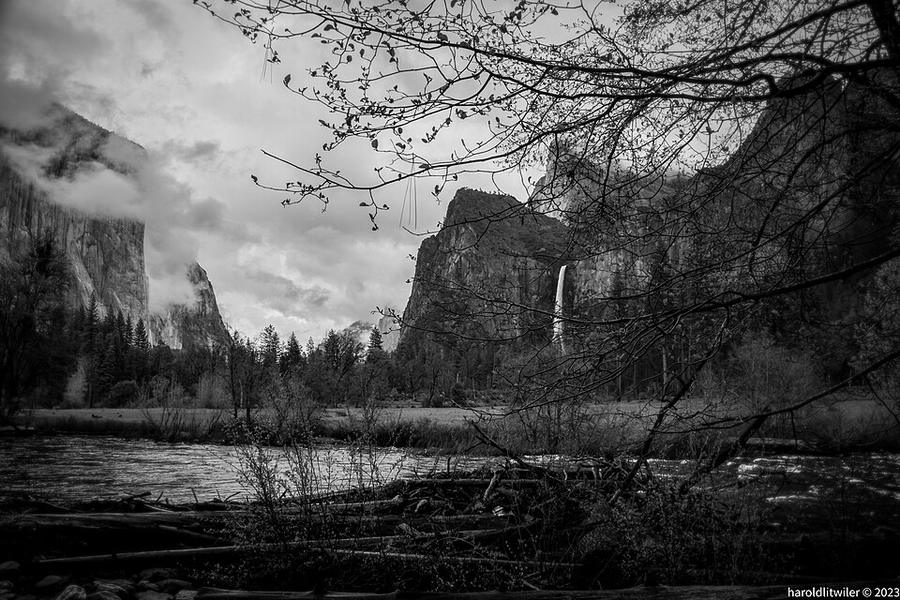 Yosemite Valley May - Flickr - Harold Litwiler, Poppy
