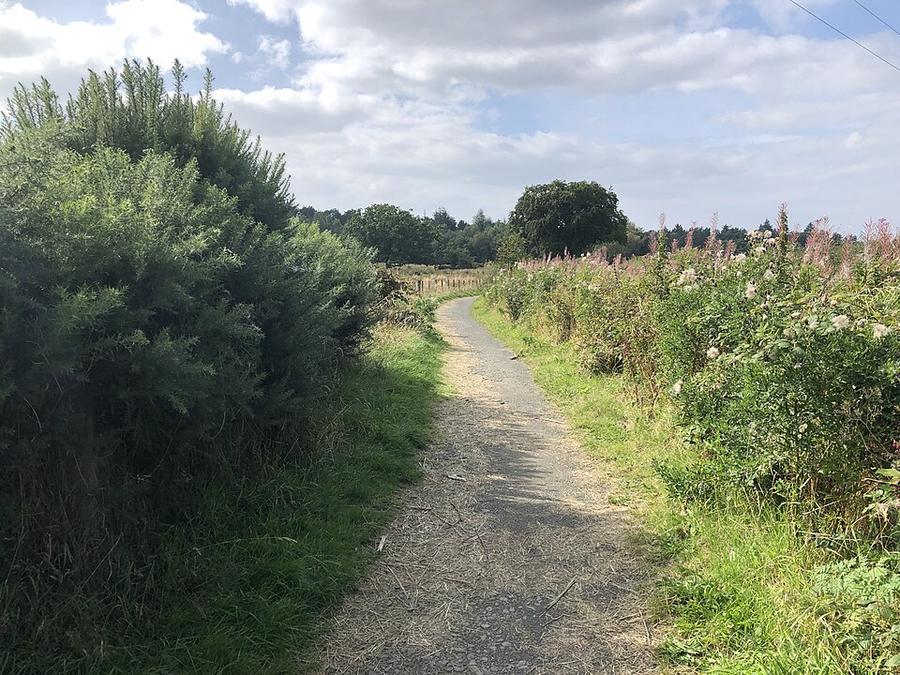 Path beside Greenbank Road - geograph.org.uk