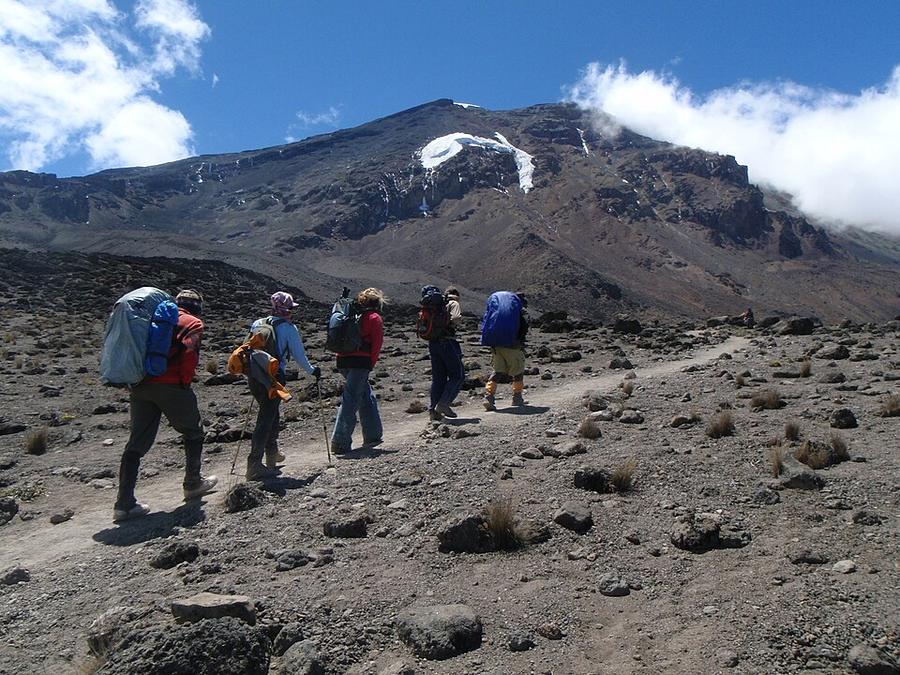 Climbing toward the Lava Tower site, Kilimanjaro, - Aug. a