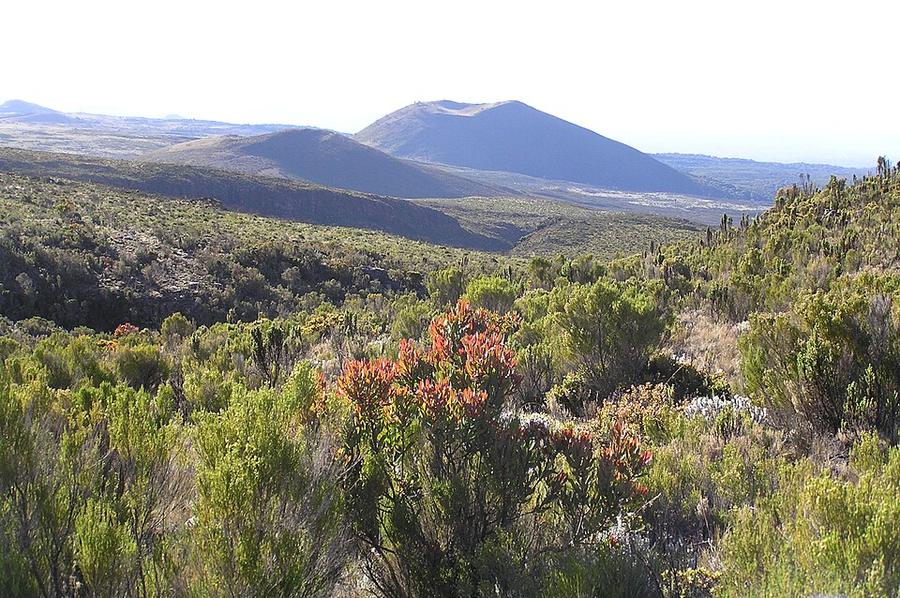 Kilimanjaro climb - panoramio