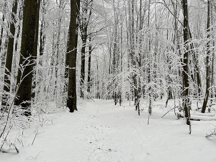 Nationalpark Sächsische Schweiz Großer Winterberg lub img Bergsteig