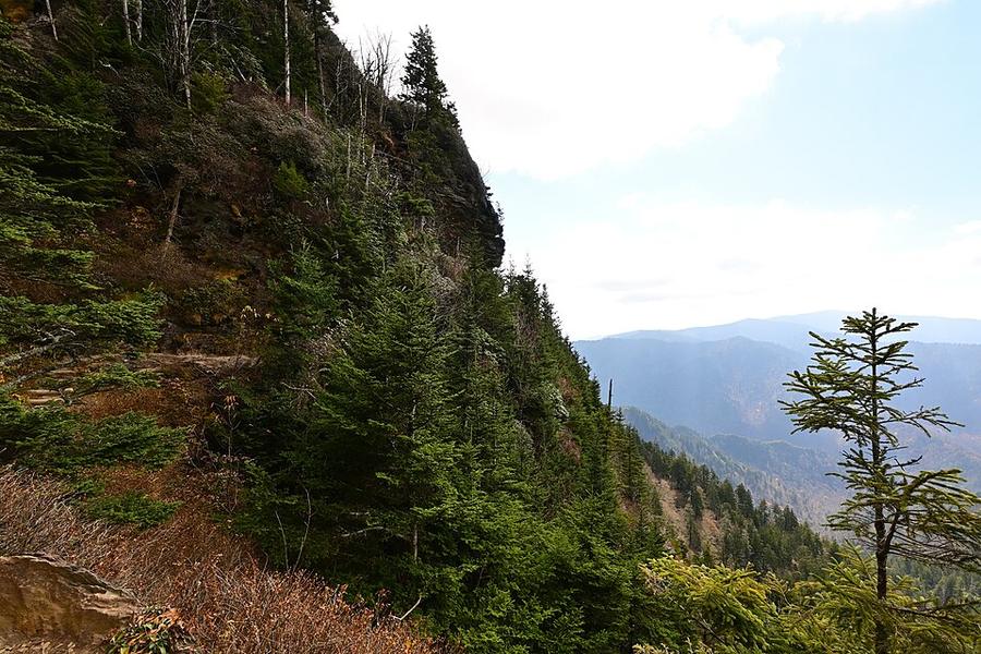 Alum Cave Trail