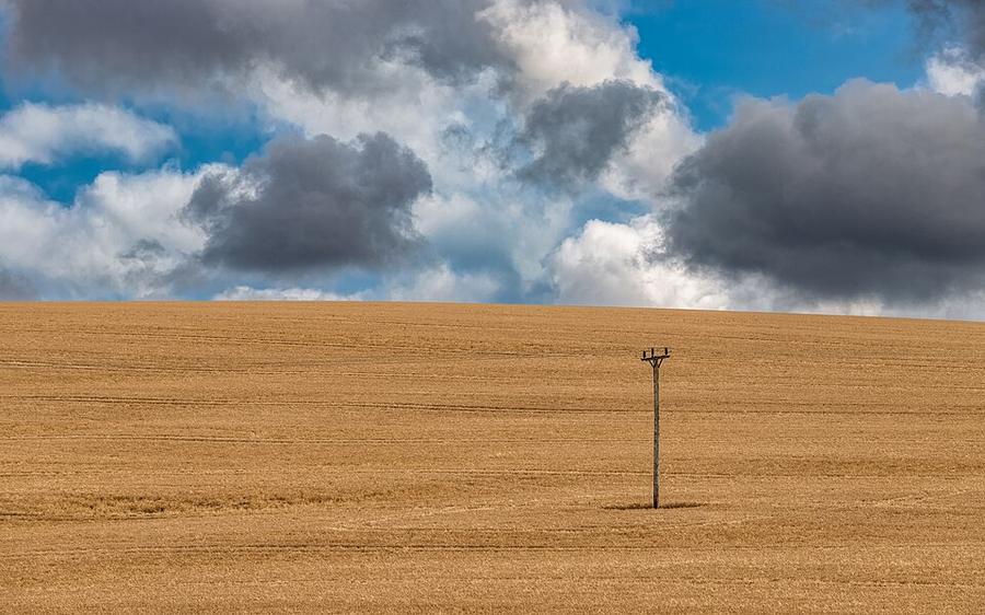 South Downs near Upwaltham, West Sussex