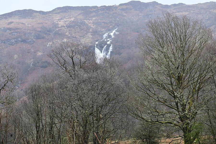 Inverarnan, Wooded area by the River Falloch - geograph.org.uk
